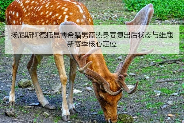 yang-ni-si-a-de-tuo-kun-bo-xi-la-nan-lan-re-shen-sai-fu-chu-hou-zhuang-tai-yu-xiong-lu-xin-sai-ji-he-xin-ding-wei-2-310.jpg