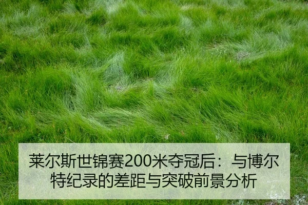 lai-er-si-shi-jin-sai-mi-duo-guan-hou-yu-bo-er-te-ji-lu-de-cha-ju-yu-tu-po-qian-jing-fen-xi-2-647.jpg